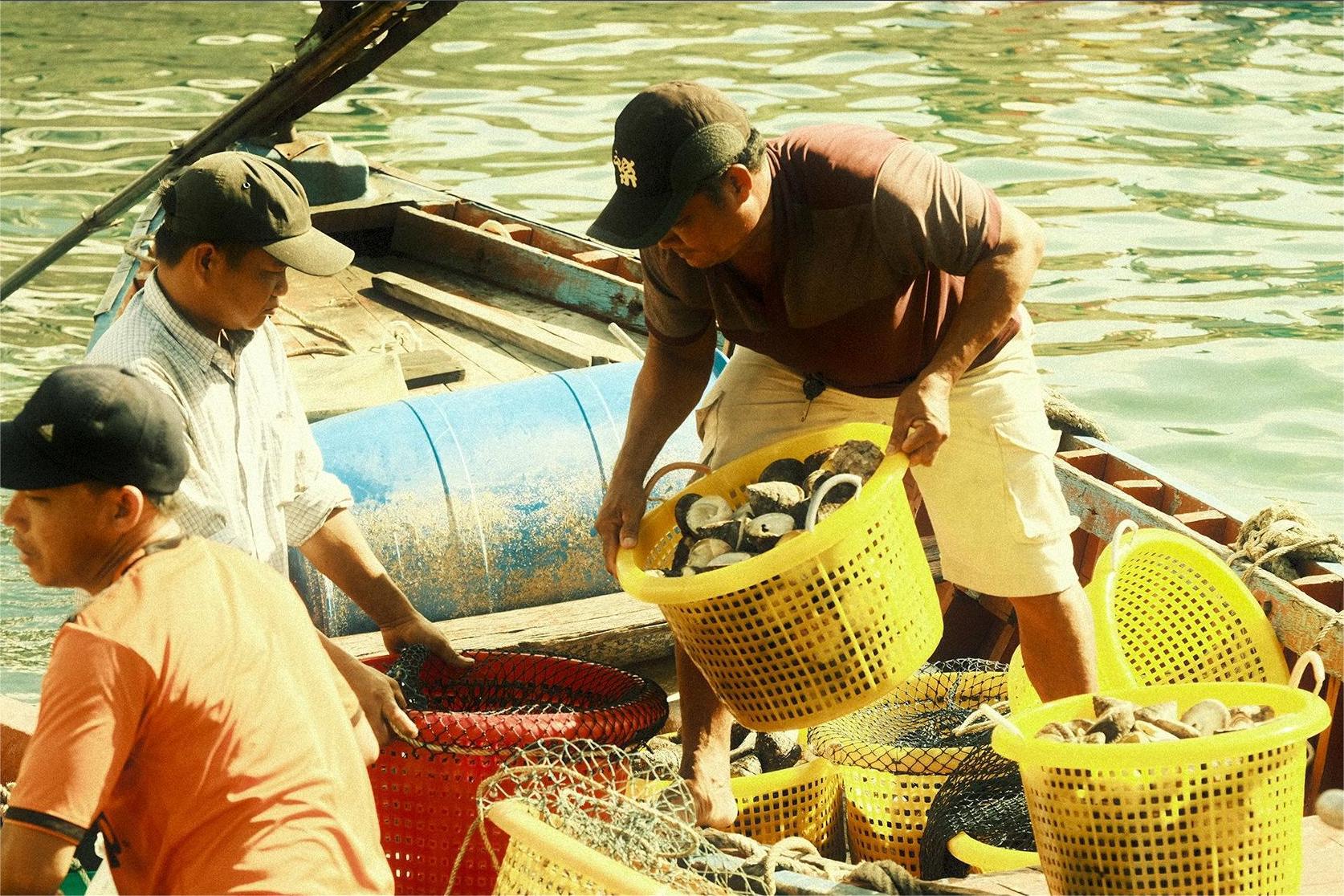 Cảng cá An Thới – Hòa nhịp với những người con của biển cả